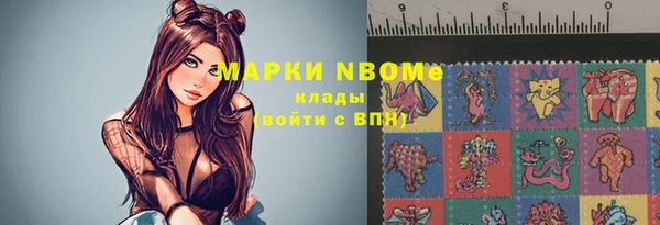 стафф Алексин