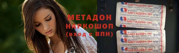стаф Алзамай