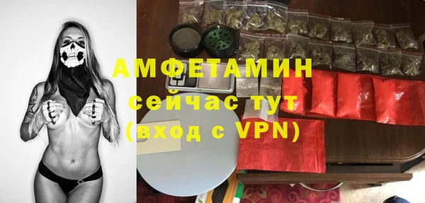 стафф Алексин