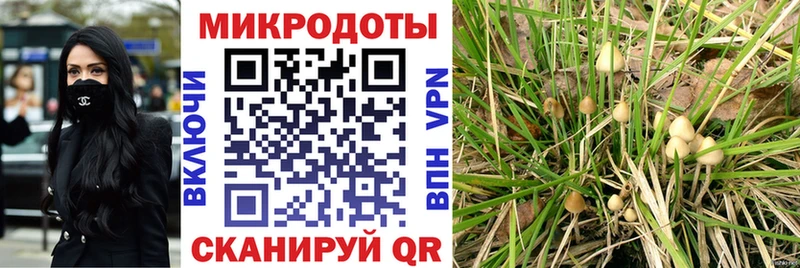 Псилоцибиновые грибы Magic Shrooms цена наркотик Себеж